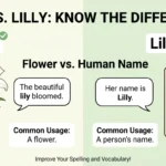 Lily or Lilly